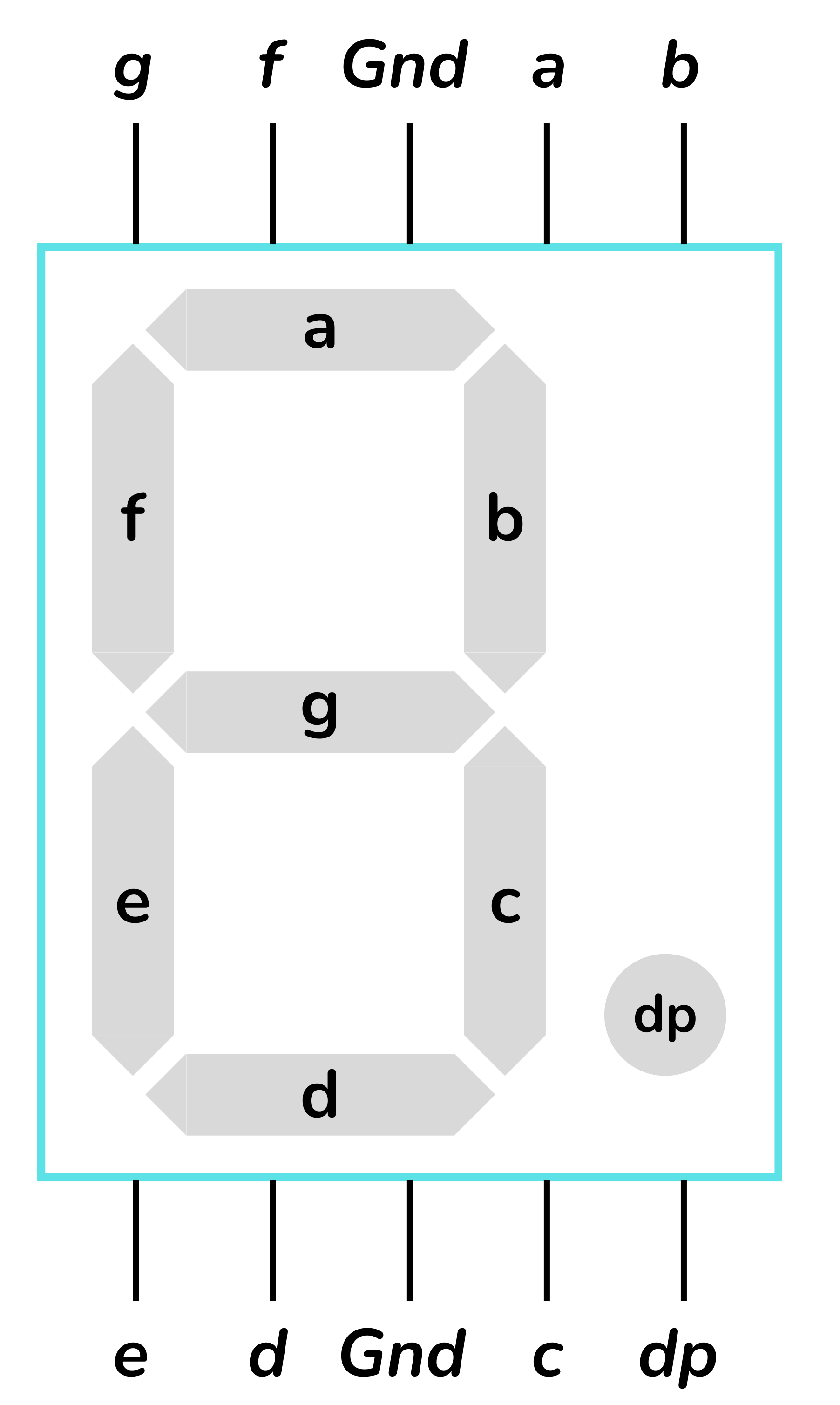 Disposició segments