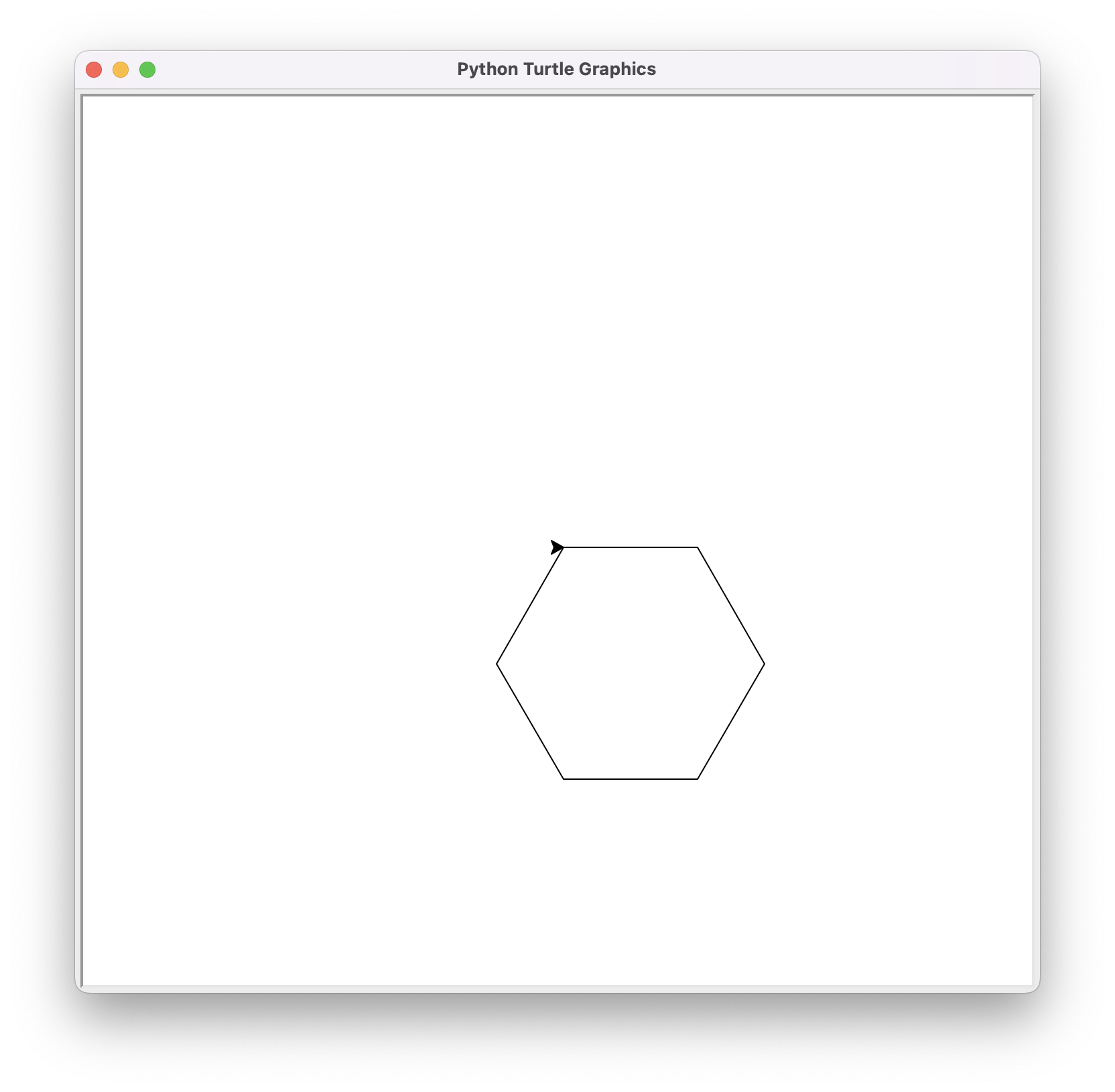 hexagon amb la tortuga